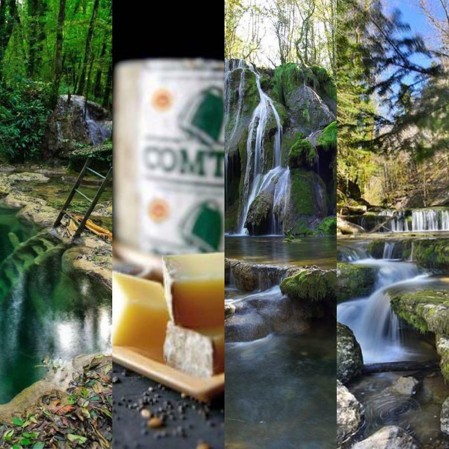 Gite Des Lacs Jumeaux Clairvaux-les-Lacs Eksteriør bilde